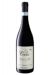 Cadia Barbera d'Alba D.O.C. 2015